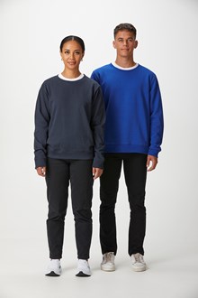 HC01-Fox Adult Sweatshirt